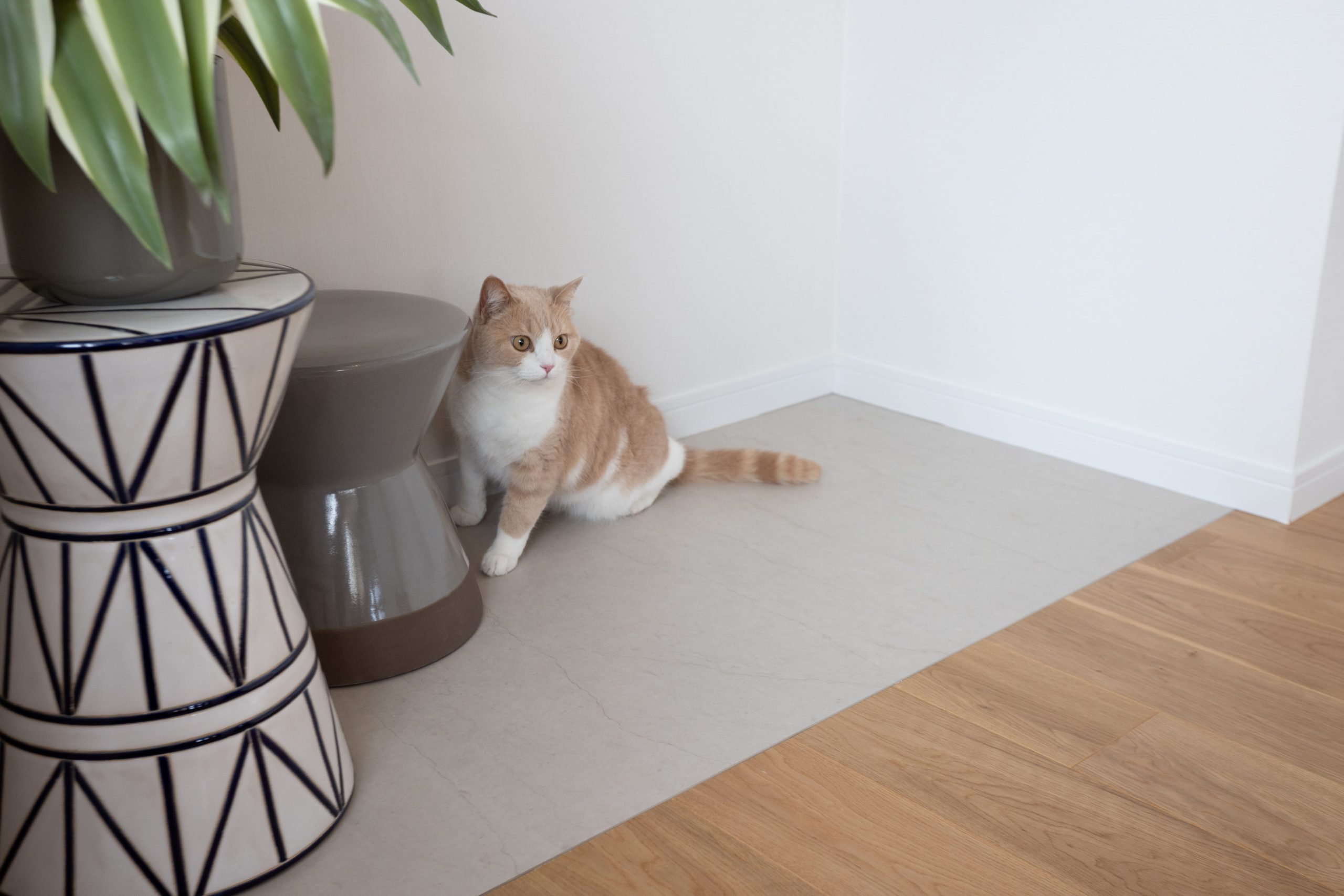 ▲「フロアタイル床」：洋室の一部にフロアタイルを採用し、猫がクールダウンできるようにしています。